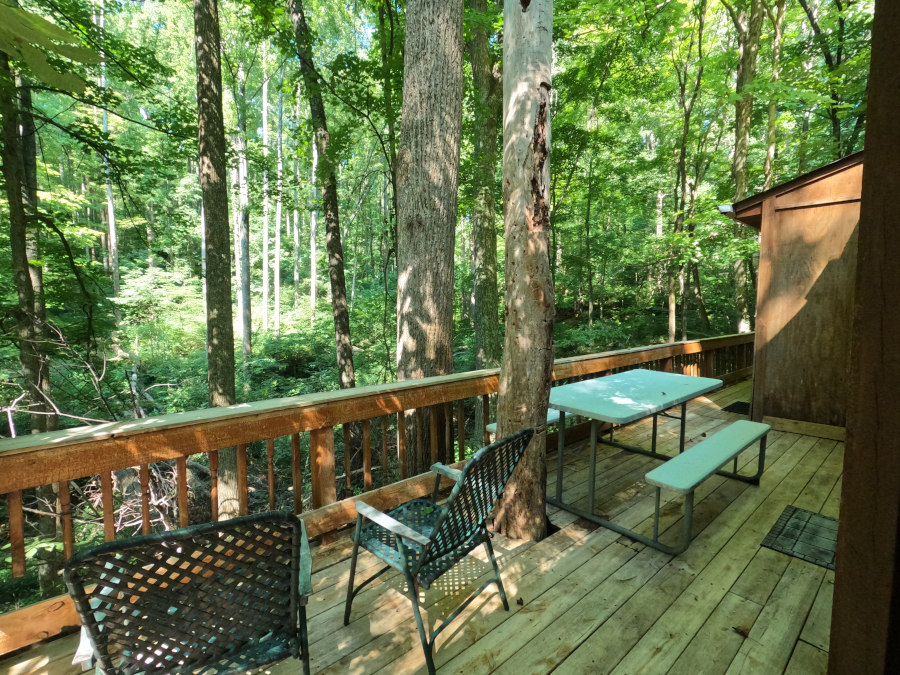 Eagle's Nest Cabin:Outside Deck with picnic area