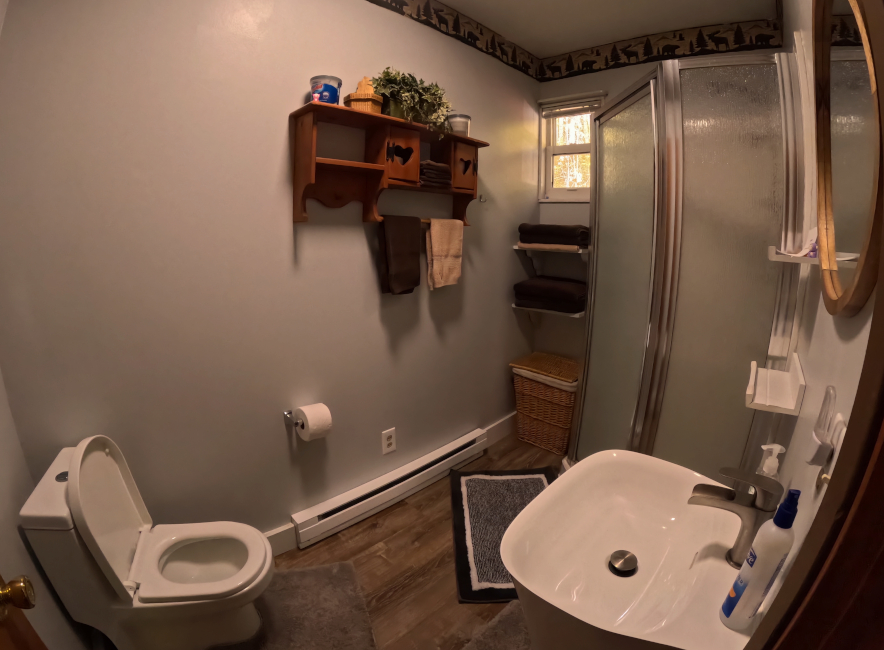 Eagle's Nest Cabin:Bathroom with shower